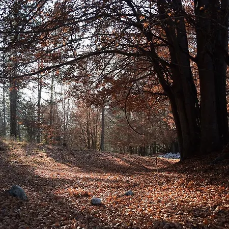 Lh Albergo Il Picchio Отель